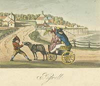 Pegwell [donkey]  | Margate History